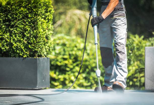 Best House Exterior Washing  in Pleasantville, IA