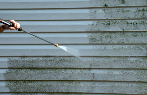 Best Animal Enclosure Cleaning  in Pleasantville, IA