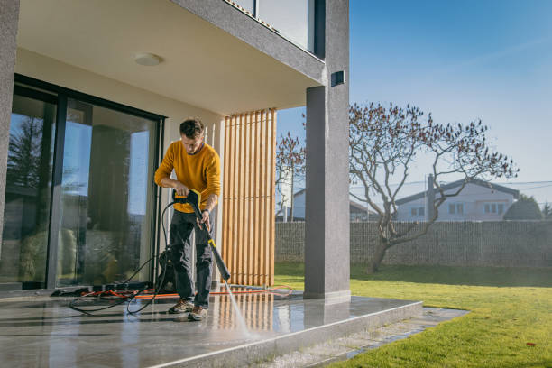 Best Boat and Dock Cleaning  in Pleasantville, IA